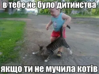 Хто не мучив кота