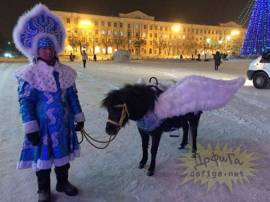 Пес прикордонник