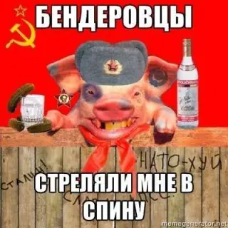 Бандерівці стріляли в спину