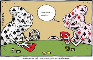 Хамелеони не можуть грати в карти