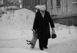 Ходімо додому, Барсік.