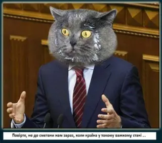 Сметани не бачив