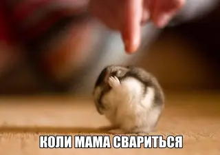 Коли мама свариться