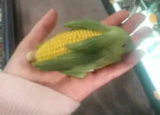 Зайчик з кукурудзи!
