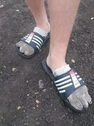 Сільський страус