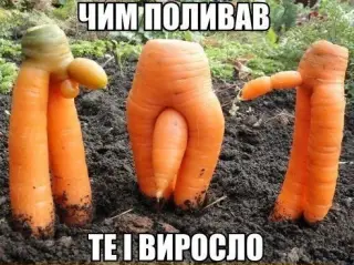 Чим полив те і виросло!
