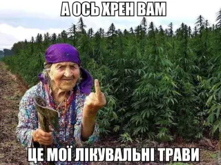 Бабусина травичка