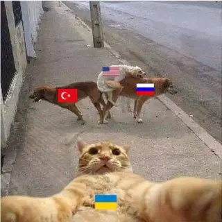 Коротко про російсько-турецькі відносини