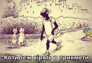 Котяча прикмета
