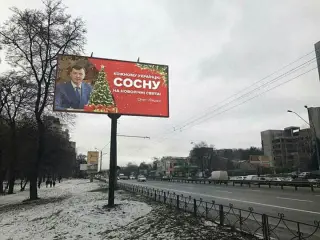 Сосну на свята.
