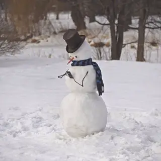 Сучасний сніговик