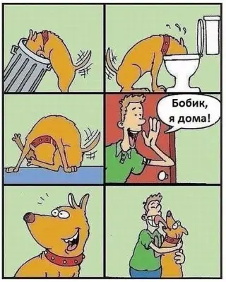 Для власників собак