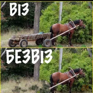 Віз та безвіз