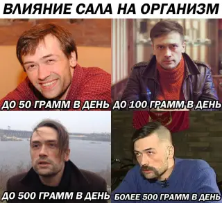 Вплив сала на організм