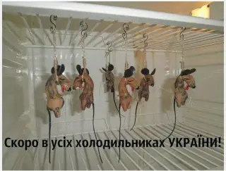 Скоро в усіх холодильниках України!