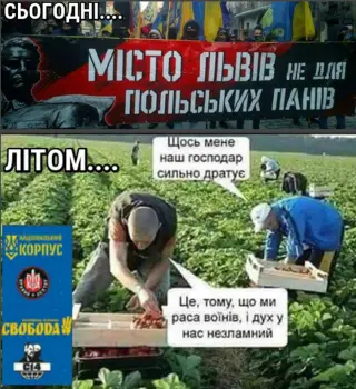 Правда завжди ріже очі!