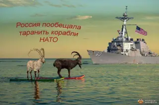 Москалі йдуть на таран