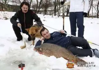 Міряти Павліками