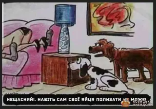 Нещасний хазяїн