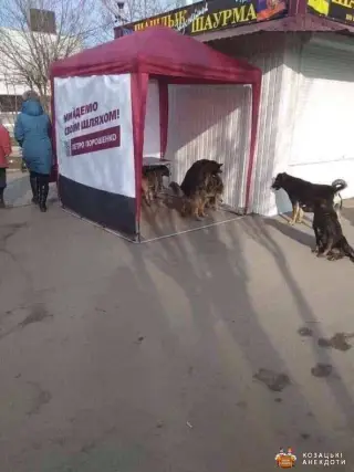Реальний рейтинг Пороха