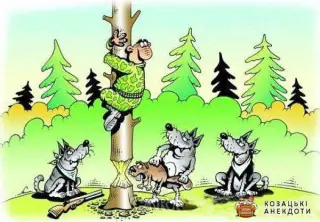 Бобропилка
