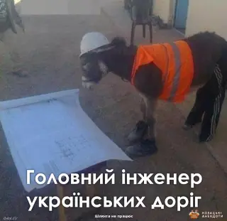Головний дорожник України