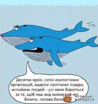 Коли болить голова