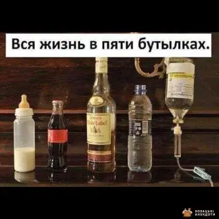 Життя в бутилках