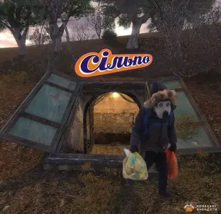 Входи у Сільпо