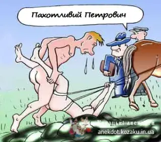 Пахотливий