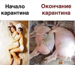 Фото до і після карантину