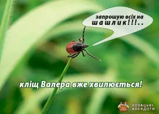 Кліщ Валера вже хвилюється