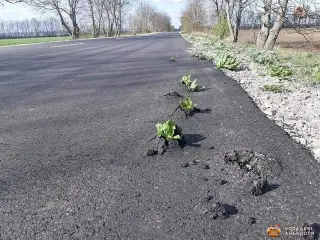 Весна та асфальт
