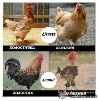 До і після одруження