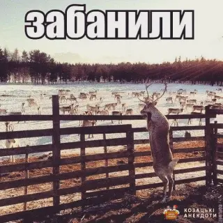 Забанили