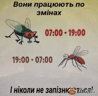 Нічна та денна змінна