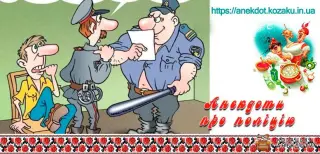 Анекдоты про ГАИ и полицию