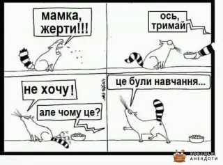 Котячі навчання