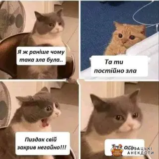 І так завжди