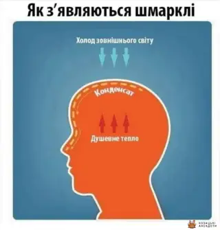 Звідки беруться шмарклі?