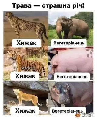 Трава то страшна річ