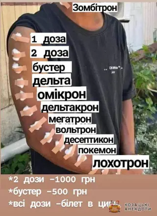 Піраміда дозування від Корони.