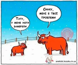 Проблеми дорослих