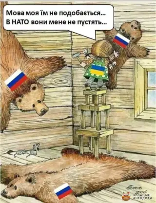 Вішайте медведів
