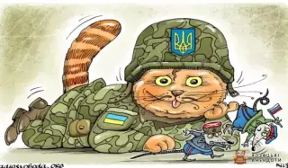 Військовий котик