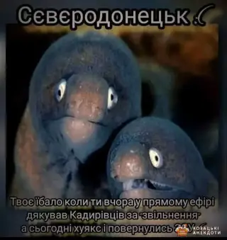 Коли зустрічав орків а прийшло ЗСУ