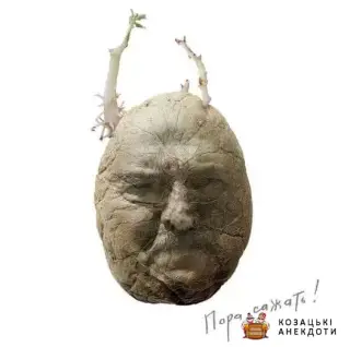 Пора саджати бульбу