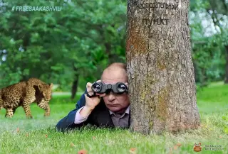 Леопарди вже близько