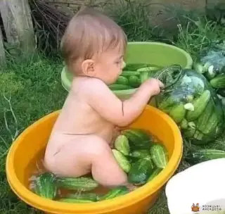Пішли огірки