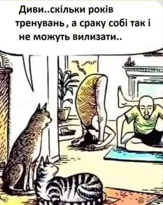 Карикатура на йог